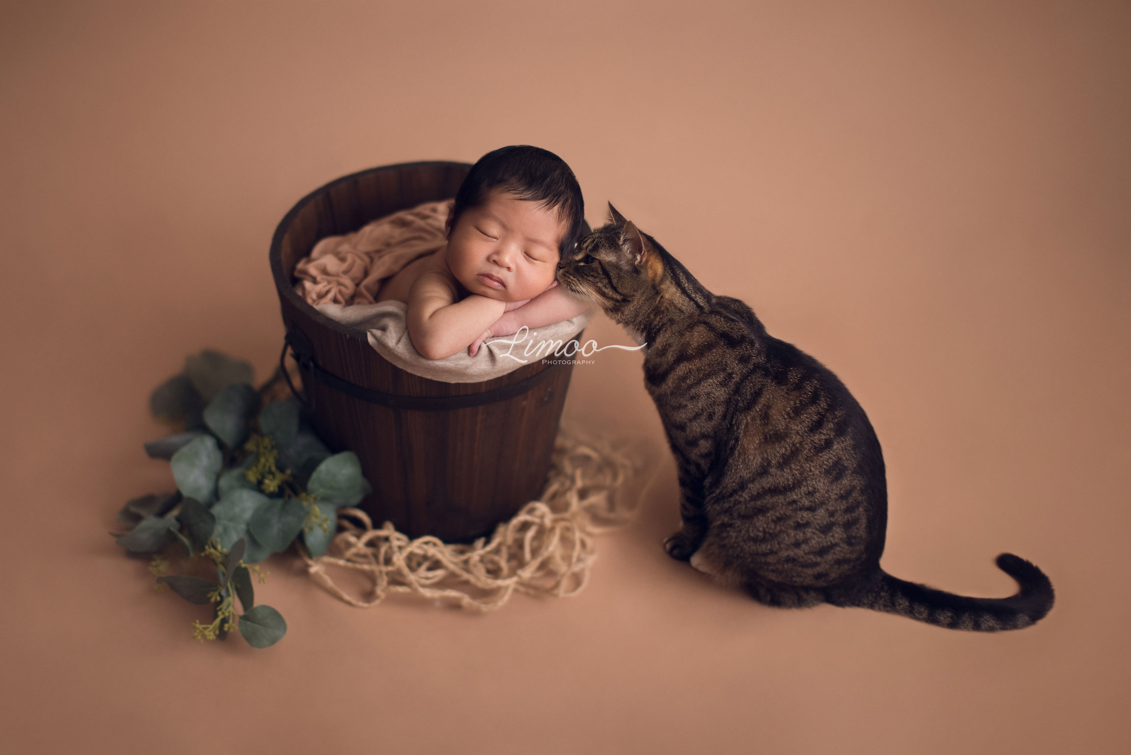 Newborn Photography SanJose Bay Area with cat