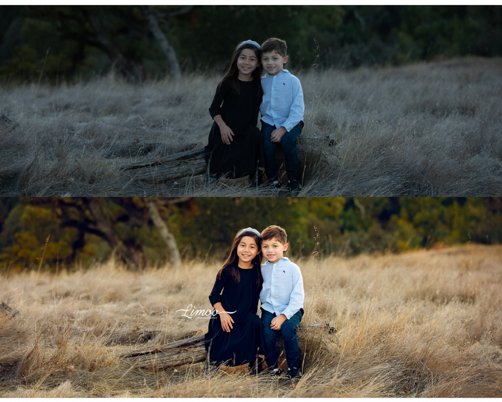An example of the retouching I do on photos for fine art photography, and Bay Area newborn photography and Bay Area Maternity Photography