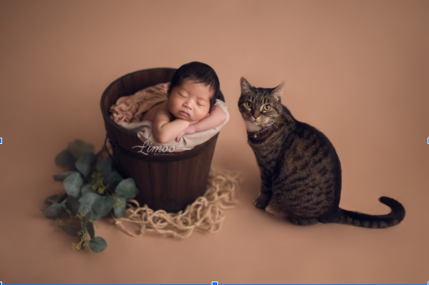 Fine art photography for newborns and pregnant moms