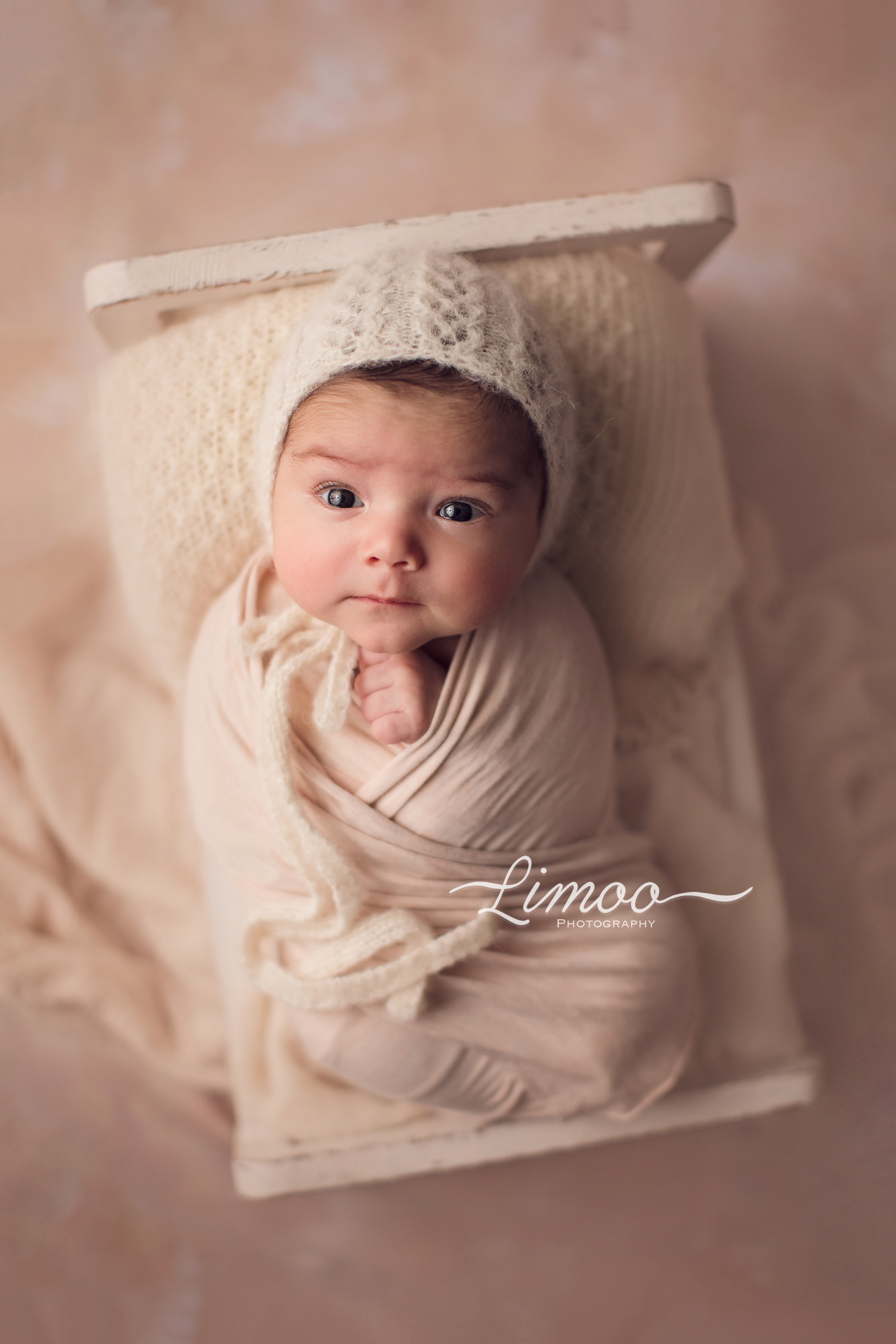Newborn-Photo-Session-by-Limoo-Photography-a-Gift-for-pregnant-expecting-parents-Bay-Area