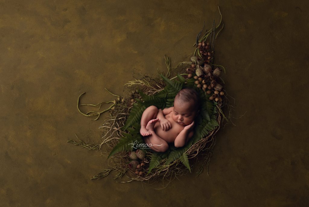 Cute fine art newborn baby pictures courtesy of Limoo Photography