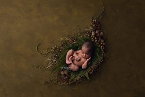 questions to ask when choosing a newborn photographer