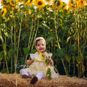Best Bay Area Baby Photography