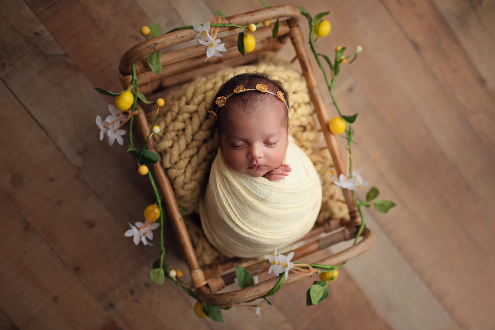 Limoo Photo - Bay Area Newborn, Maternity & Family Photographer